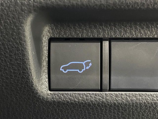 TOYOTA RAV4 4WD 2020 Image 31