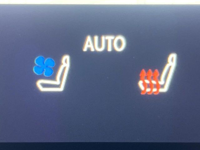 TOYOTA LEXUS NX350H 2023 Image 31