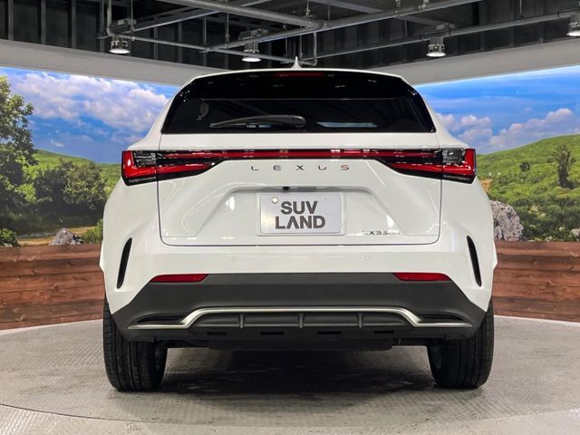 TOYOTA LEXUS NX350H 2023 Image 31