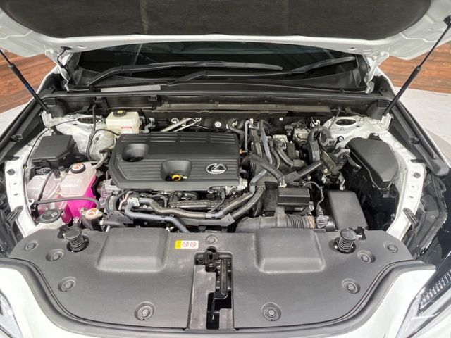 TOYOTA LEXUS NX350H 2023 Image 31