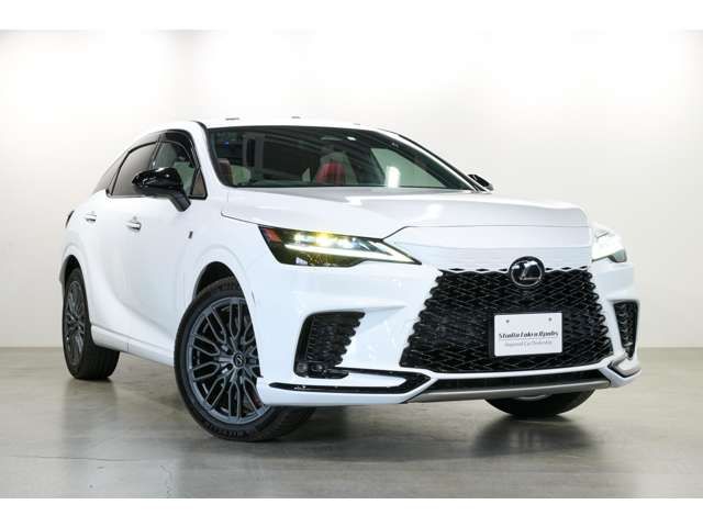 TOYOTA LEXUS RX500H 2023 Image 31