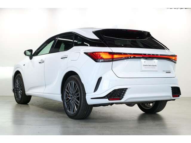 TOYOTA LEXUS RX500H 2023 Image 31