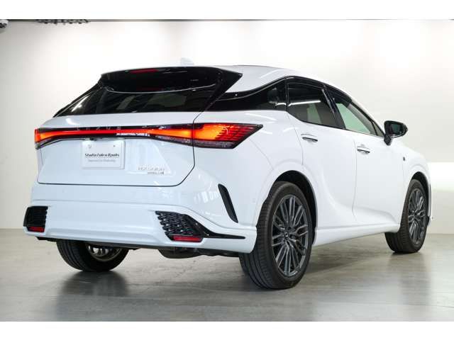 TOYOTA LEXUS RX500H 2023 Image 31