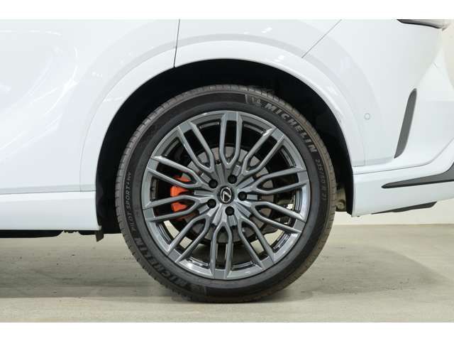 TOYOTA LEXUS RX500H 2023 Image 31