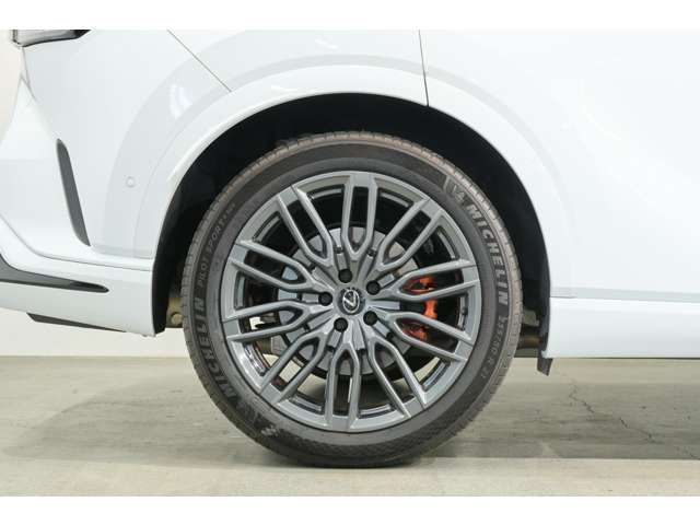 TOYOTA LEXUS RX500H 2023 Image 31