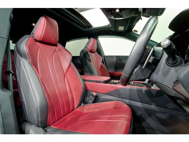 TOYOTA LEXUS RX500H 2023 Image 31