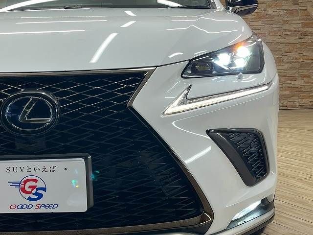 TOYOTA LEXUS NX300H 2018 Image 31