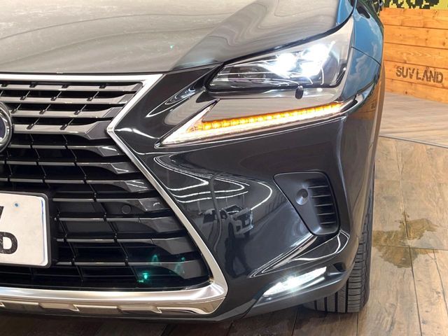 TOYOTA LEXUS NX300H 2018 Image 31