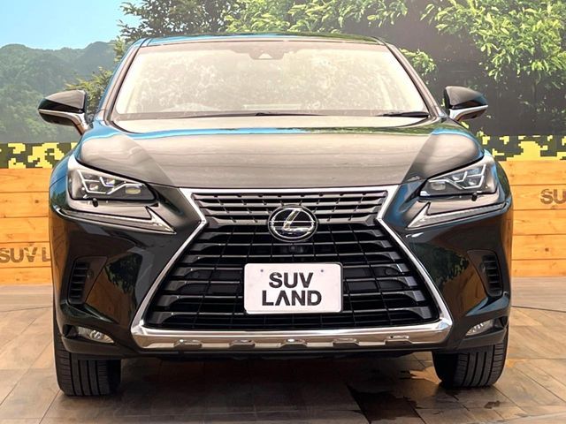 TOYOTA LEXUS NX300H 2018 Image 31