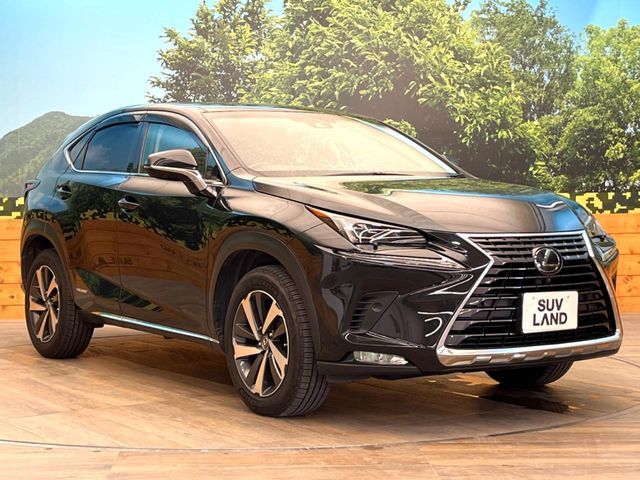 TOYOTA LEXUS NX300H 2018 Image 31