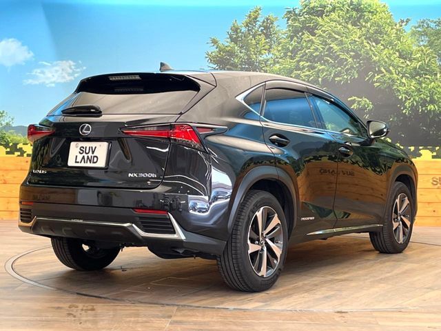 TOYOTA LEXUS NX300H 2018 Image 31