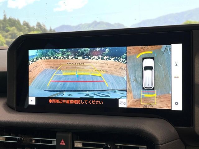 TOYOTA LANDCRUISER 250 2025 Image 31