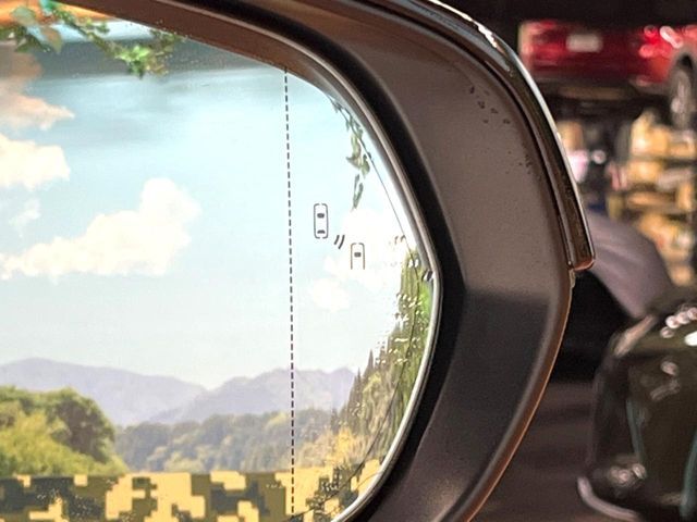 TOYOTA LEXUS RX500H 2023 Image 31