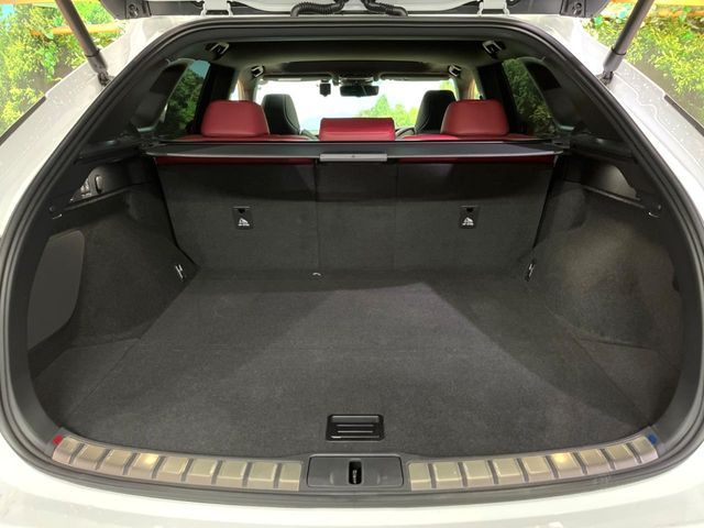 TOYOTA LEXUS RX500H 2023 Image 31