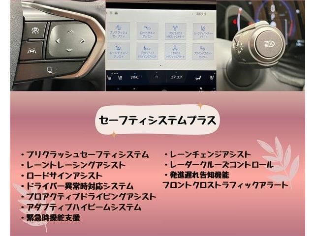 TOYOTA LEXUS NX250 2023 Image 31