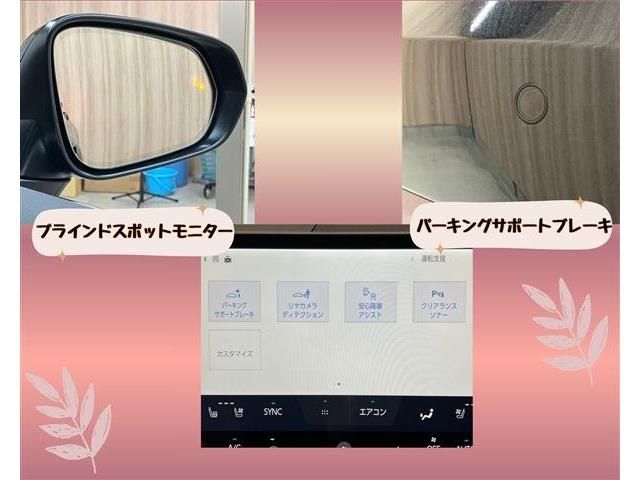 TOYOTA LEXUS NX250 2023 Image 31