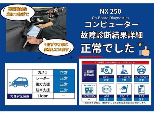 TOYOTA LEXUS NX250 2023 Image 31