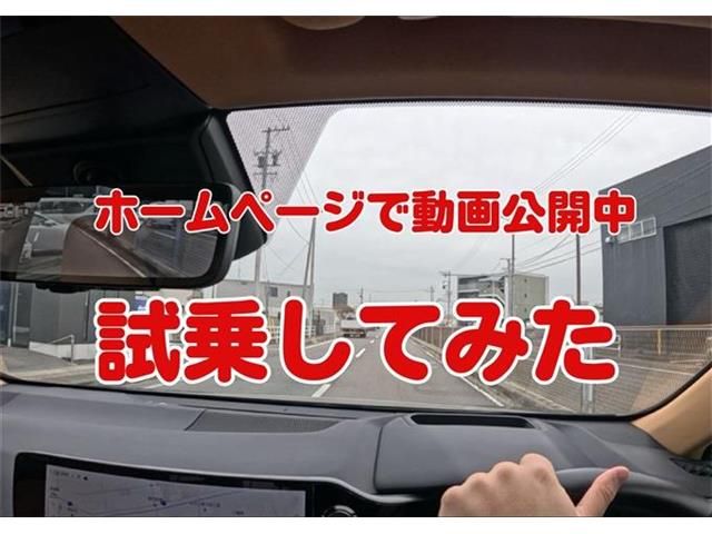 TOYOTA LEXUS NX250 2023 Image 31