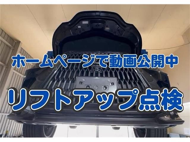 TOYOTA LEXUS NX250 2023 Image 31