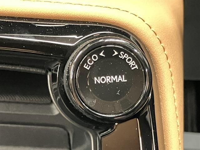 TOYOTA LEXUS NX250 2023 Image 31