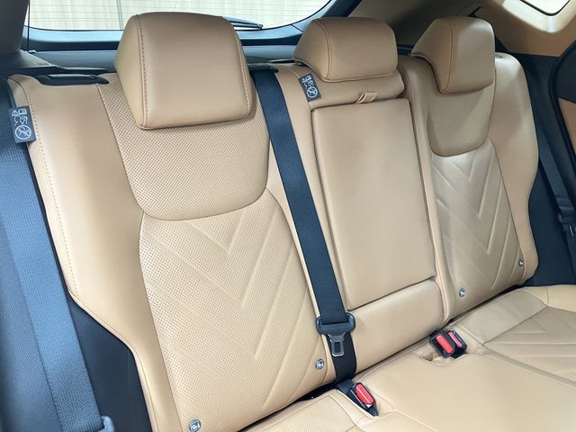 TOYOTA LEXUS NX250 2023 Image 31