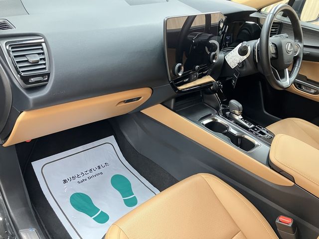 TOYOTA LEXUS NX250 2023 Image 31