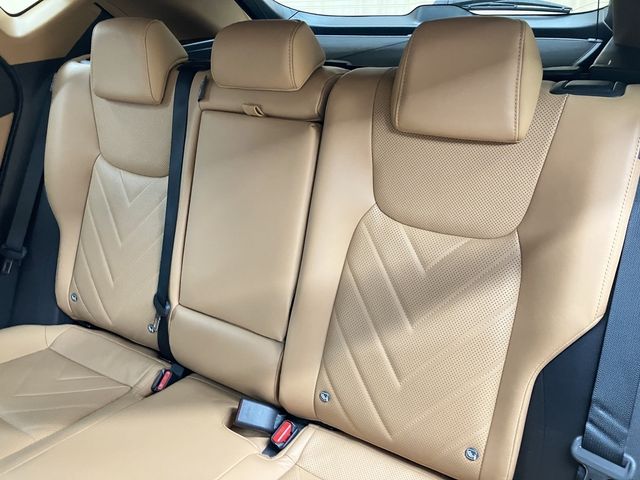 TOYOTA LEXUS NX250 2023 Image 31