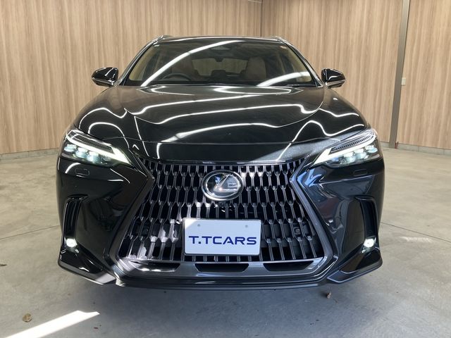 TOYOTA LEXUS NX250 2023 Image 31