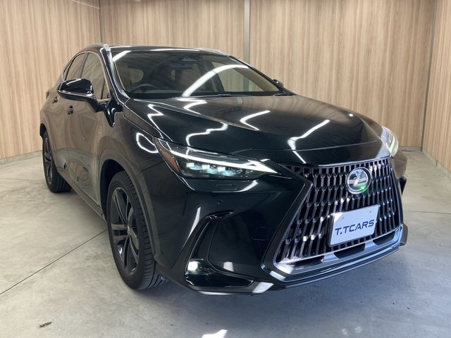 TOYOTA LEXUS NX250 2023 Image 31