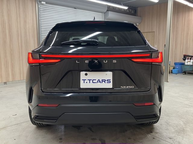 TOYOTA LEXUS NX250 2023 Image 31