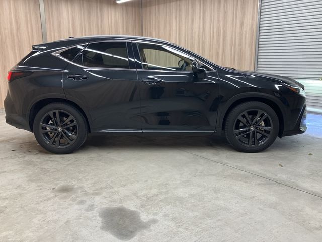 TOYOTA LEXUS NX250 2023 Image 31