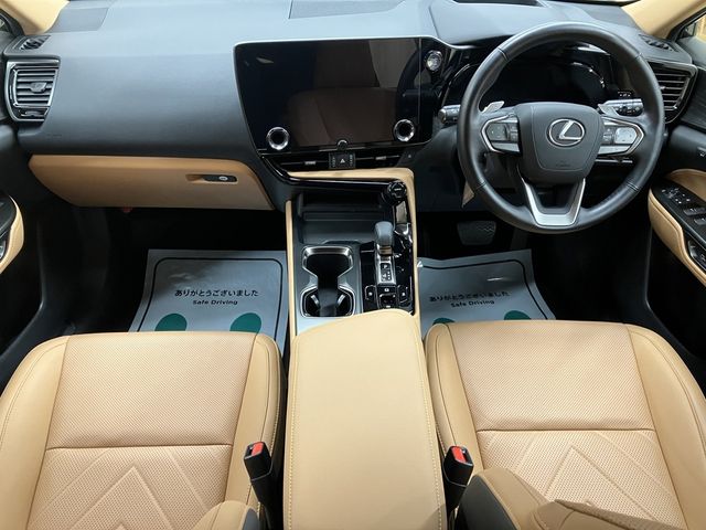 TOYOTA LEXUS NX250 2023 Image 31
