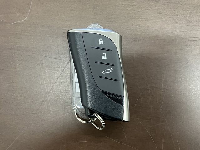 TOYOTA LEXUS NX250 2023 Image 31