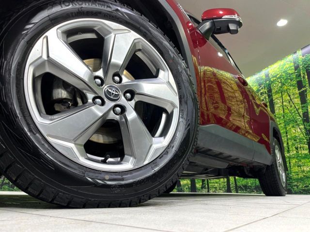 TOYOTA RAV4 HYBRID 4WD 2019 Image 31