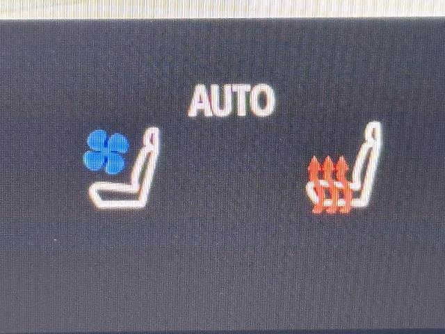 TOYOTA VELLFIRE  HYBRID 2024 Image 31