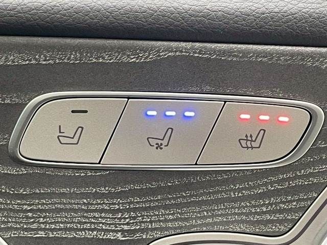 MERCEDES BENZ CLS CL 2020 Image 31