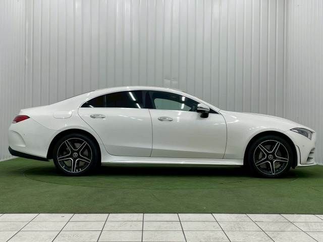 MERCEDES BENZ CLS CL 2020 Image 31