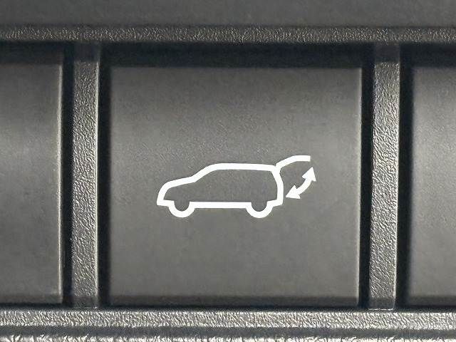 TOYOTA LANDCRUISER 250 2025 Image 31