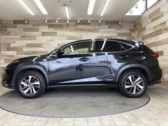 TOYOTA LEXUS NX300H 2019 Image 31