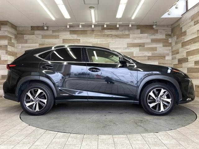 TOYOTA LEXUS NX300H 2019 Image 31