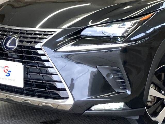 TOYOTA LEXUS NX300H 2019 Image 31
