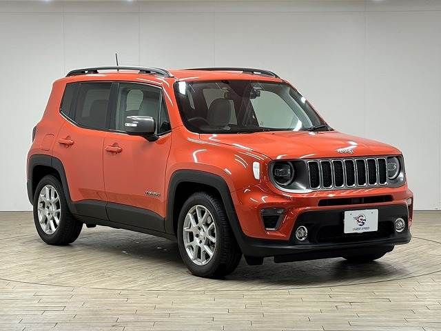 JEEP RENEGADE 2019 Image 31