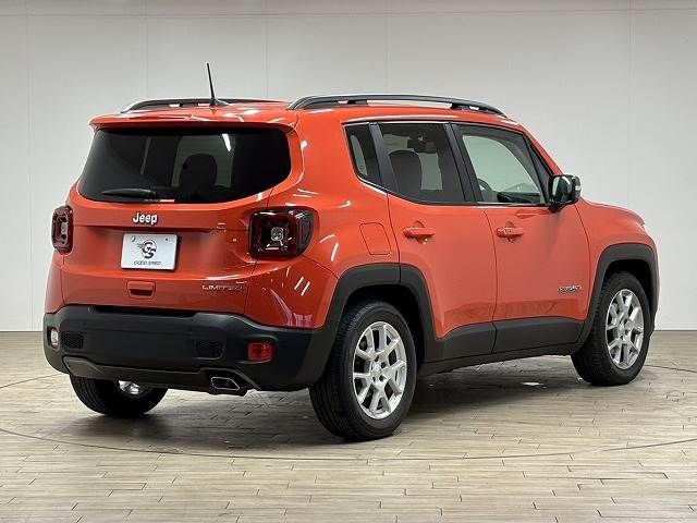 JEEP RENEGADE 2019 Image 31