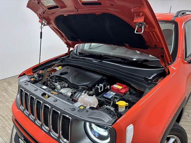 JEEP RENEGADE 2019 Image 31