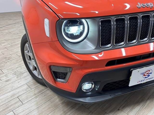JEEP RENEGADE 2019 Image 31