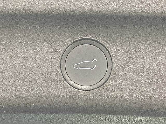 TESLA MODEL Y 2023 Image 31