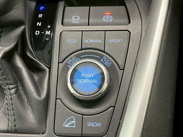 TOYOTA RAV4 4WD 2021 Image 31