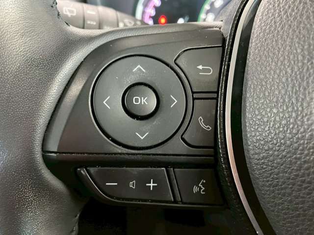 TOYOTA RAV4 4WD 2021 Image 31