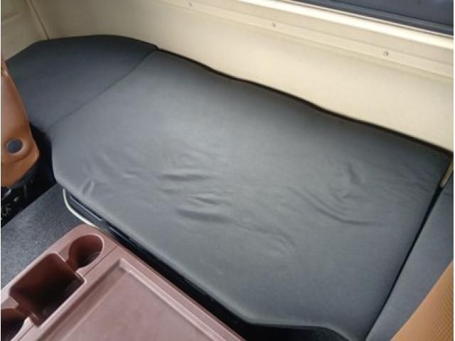 HINO PROFIA 2019 Image 31