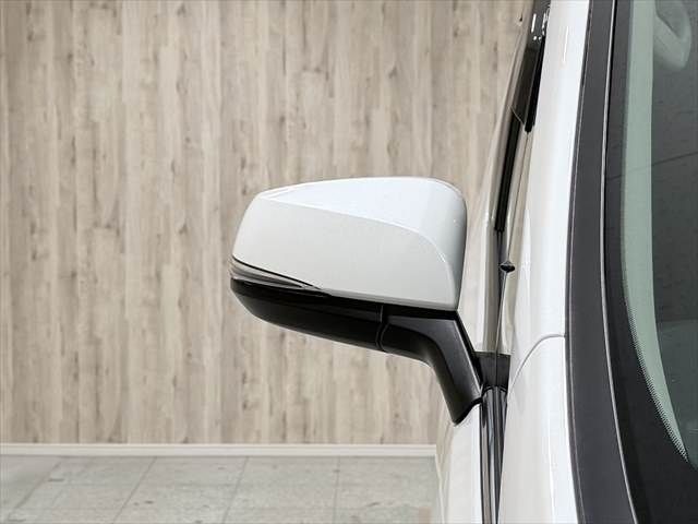 TOYOTA ALPHARD HYBRID 4WD 2019 Image 31